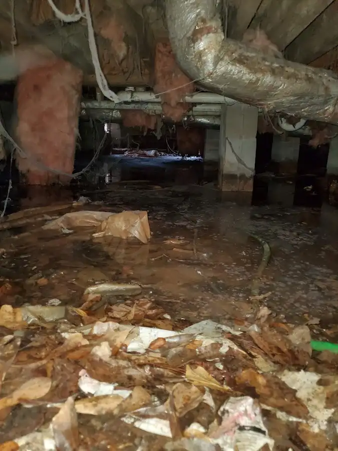 Crawl space flood assessment for Leak Detection & Repair in Dunbar