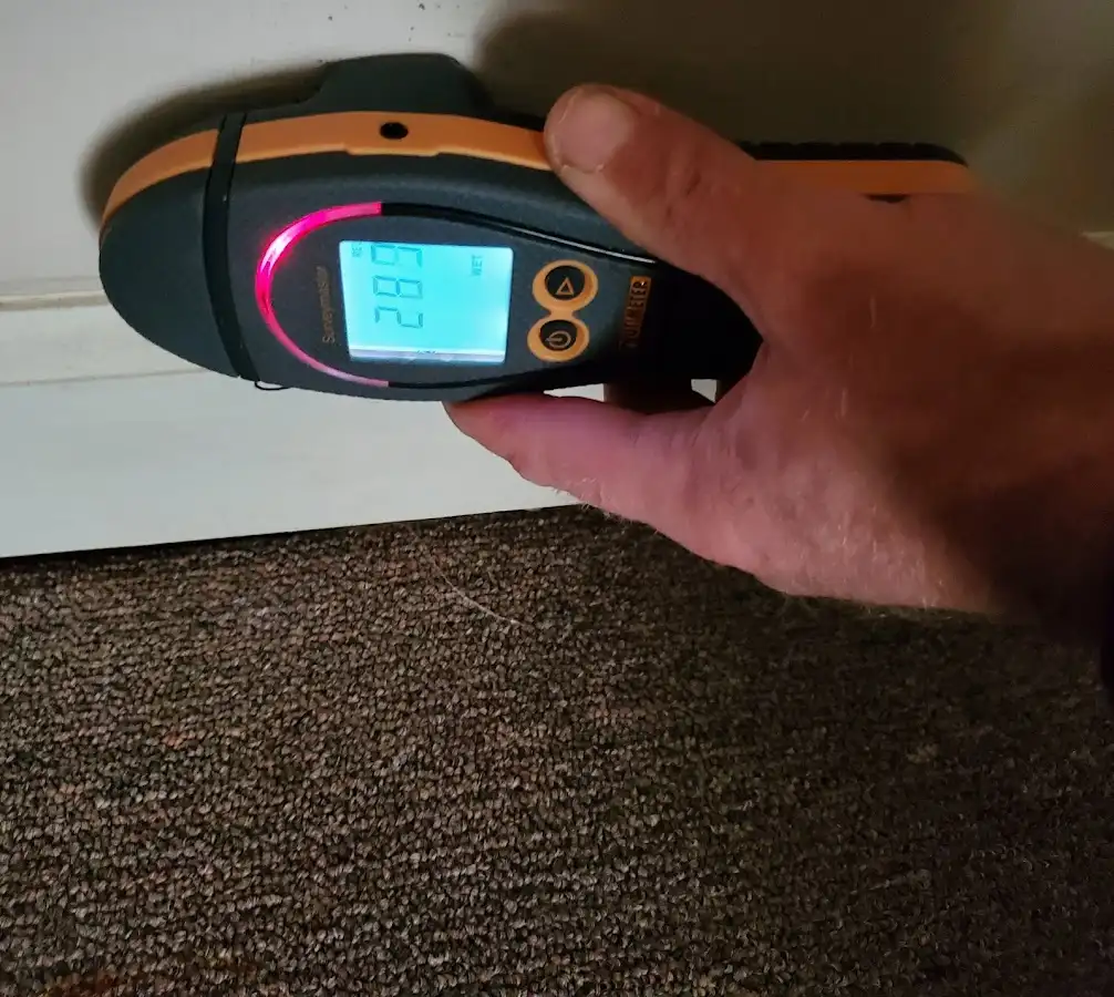 Moisture detection at baseboard during Burst Pipe Cleanup in Dunbar