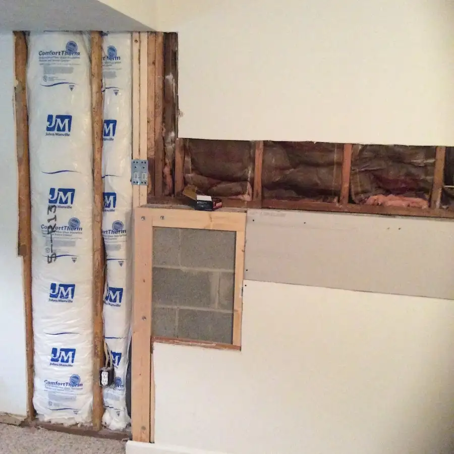 Wall insulation replacement during Odor Removal & Deodorization in Dunbar